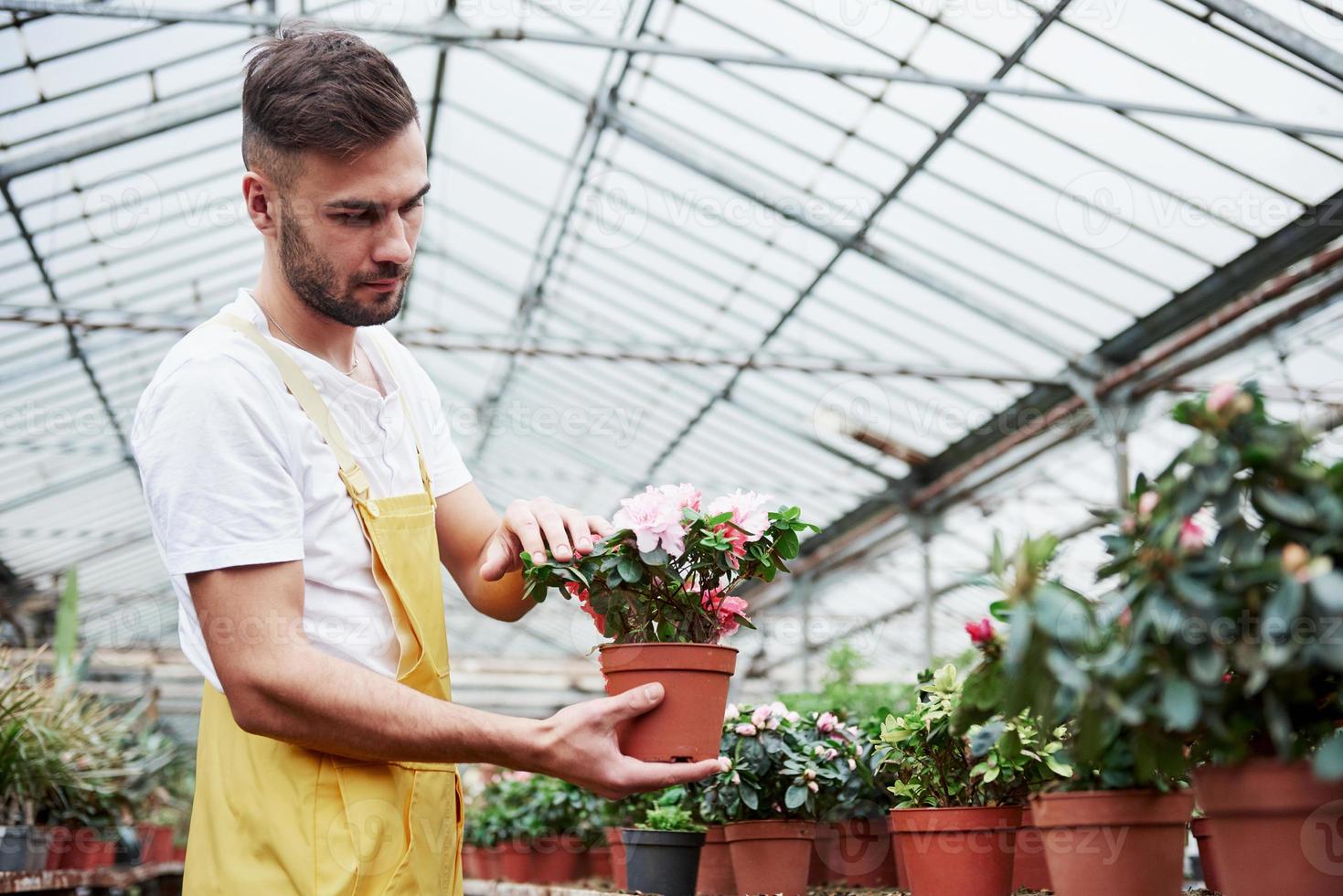 attraktiver männlicher bärtiger Bauer hält die Vase und kümmert sich um die Blumen im Gewächshaus foto