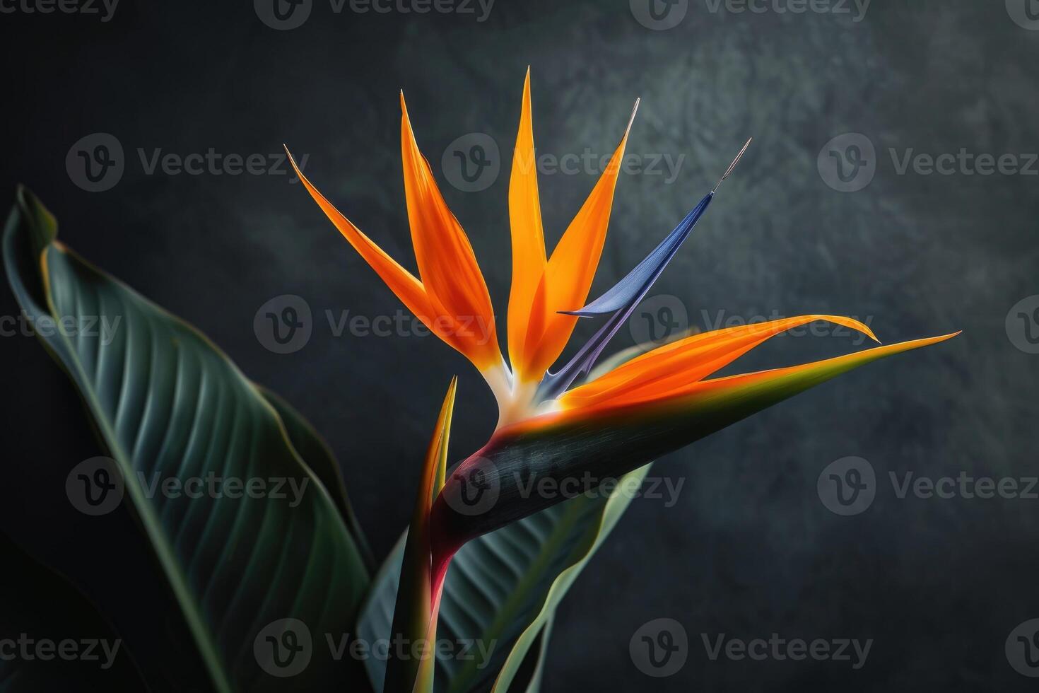 ai generiert Heliconia Blume Strelitzie reginae ebenfalls bekannt wie Vogel von Paradies Blume. foto