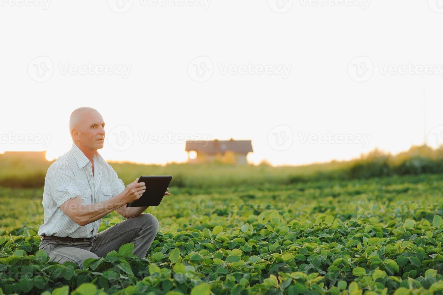 Farmer im abgelegt halten Tablette im seine Hände und Prüfung Sojabohne Corp. foto