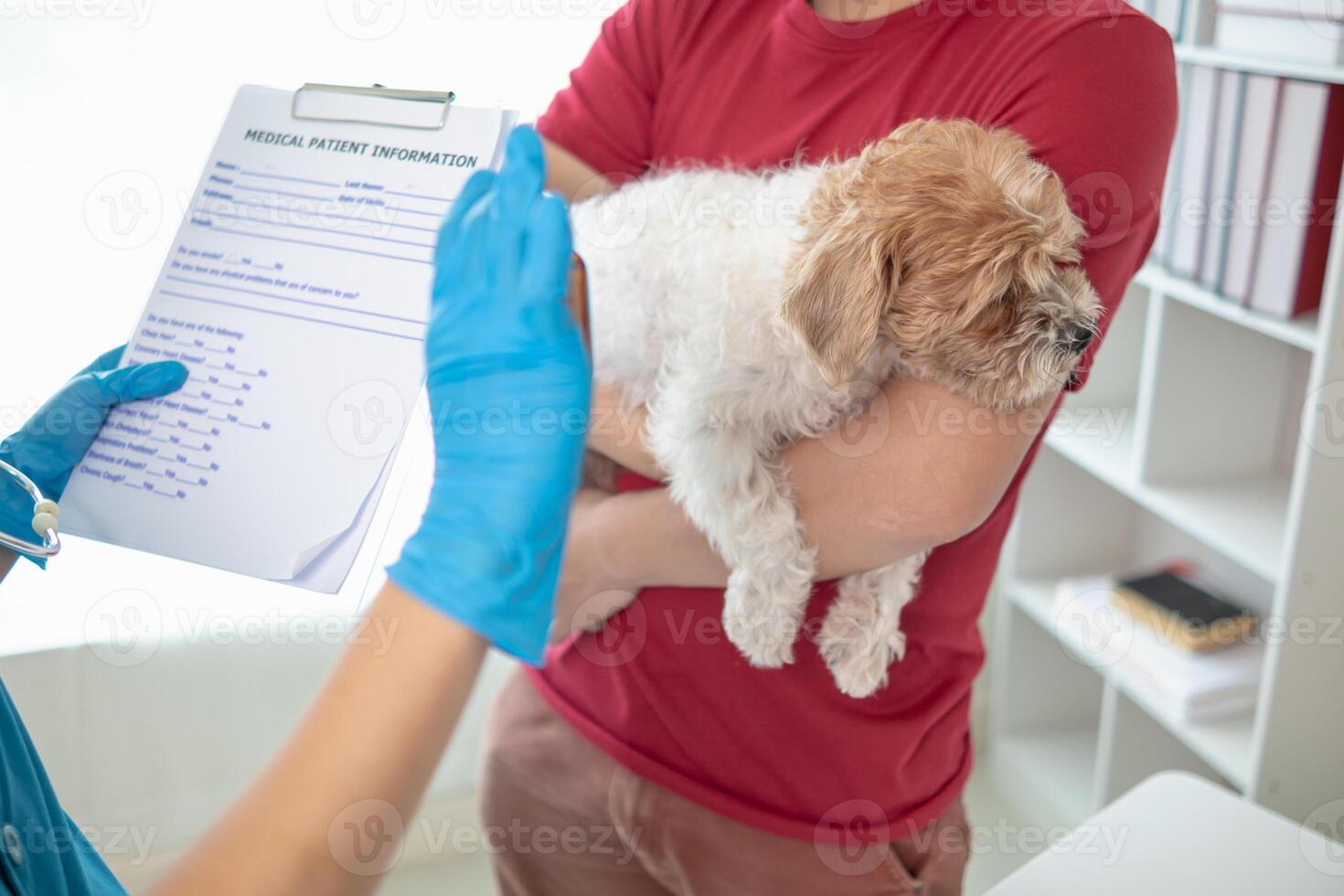 Tierärzte sind durchführen jährlich prüfen UPS auf Hunde zu aussehen zum möglich Krankheiten und behandeln Sie schnell zu dafür sorgen das Haustiere Gesundheit. Tierarzt ist Prüfung Hund im Veterinär Klinik zum Behandlung foto