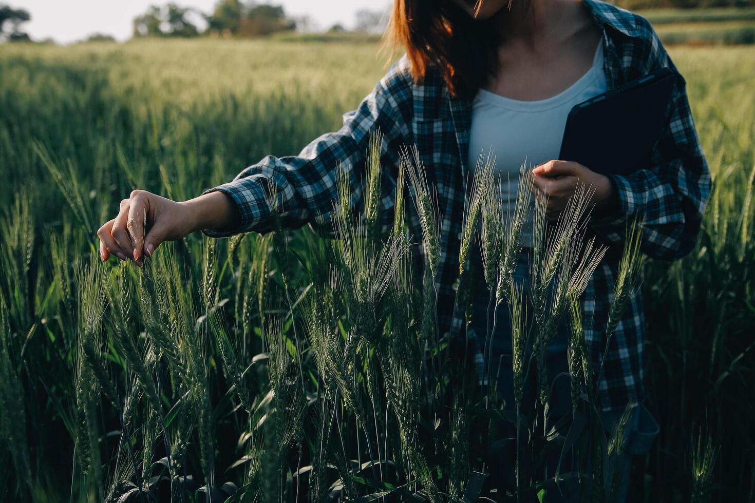 Clever Bauernhof. Farmer mit Tablette im das Feld. Landwirtschaft, Gartenarbeit oder Ökologie Konzept. Ernte. Agro Geschäft. foto