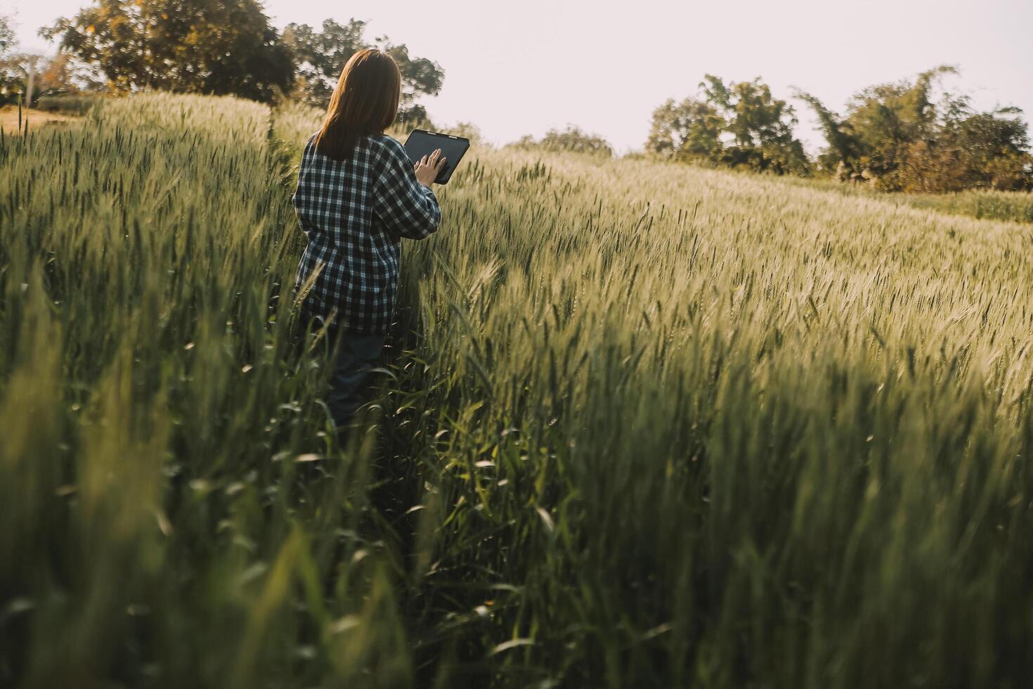 Clever Bauernhof. Farmer mit Tablette im das Feld. Landwirtschaft, Gartenarbeit oder Ökologie Konzept. Ernte. Agro Geschäft. foto