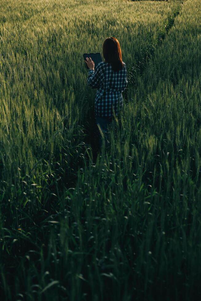 Clever Bauernhof. Farmer mit Tablette im das Feld. Landwirtschaft, Gartenarbeit oder Ökologie Konzept. Ernte. Agro Geschäft. foto