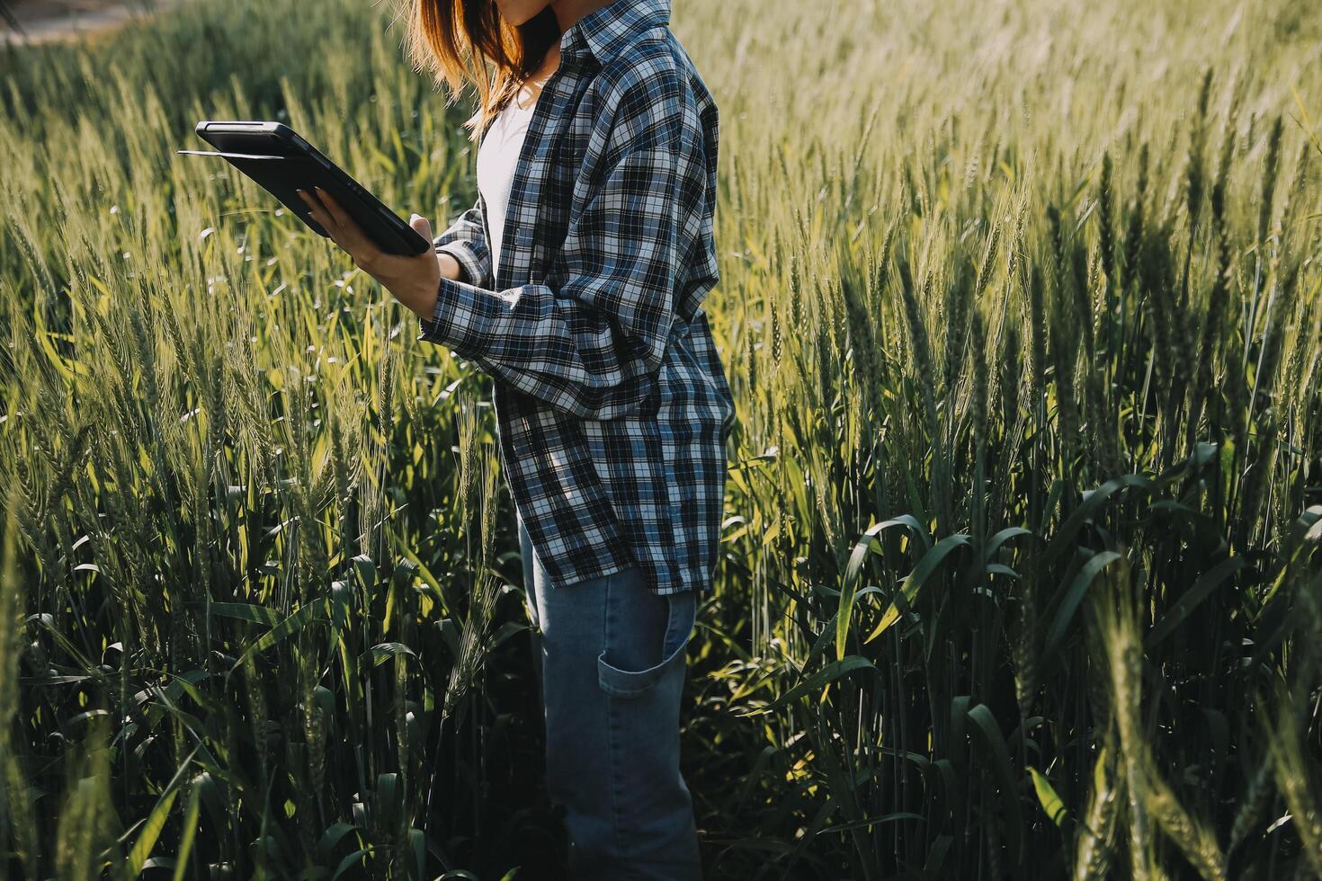 Clever Bauernhof. Farmer mit Tablette im das Feld. Landwirtschaft, Gartenarbeit oder Ökologie Konzept. Ernte. Agro Geschäft. foto