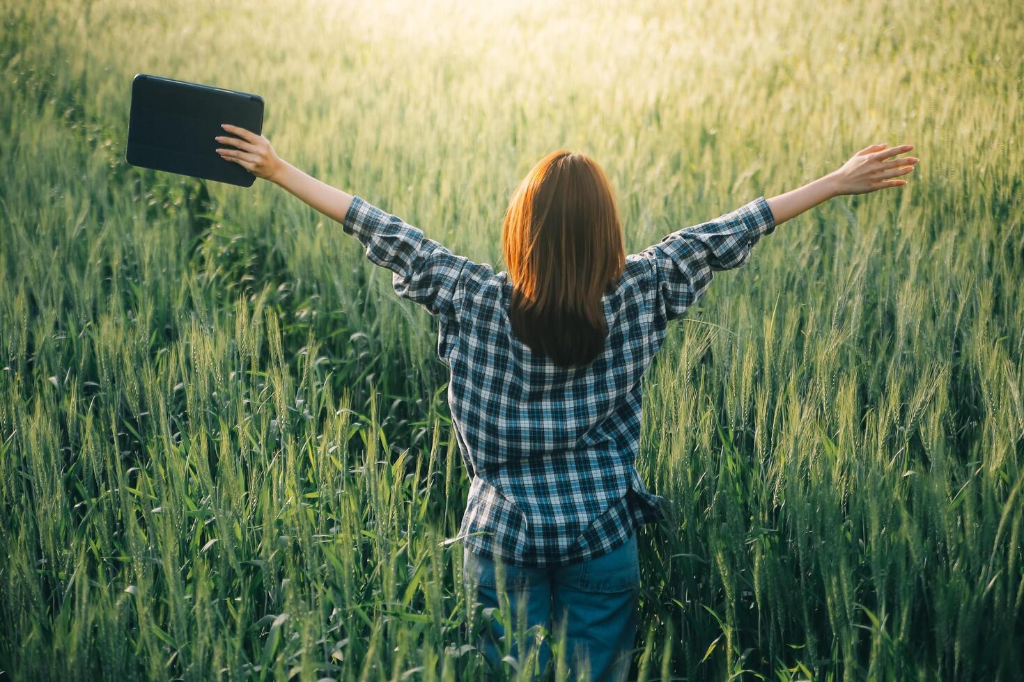 Clever Bauernhof. Farmer mit Tablette im das Feld. Landwirtschaft, Gartenarbeit oder Ökologie Konzept. Ernte. Agro Geschäft. foto