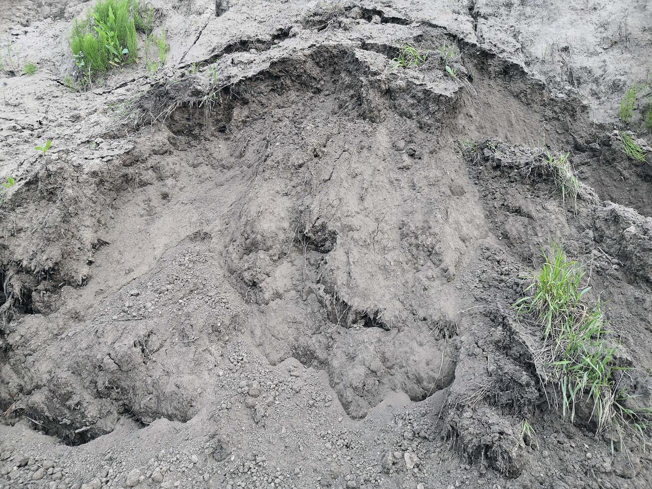 bewachsen Stapel von Schmutz mit Gras foto