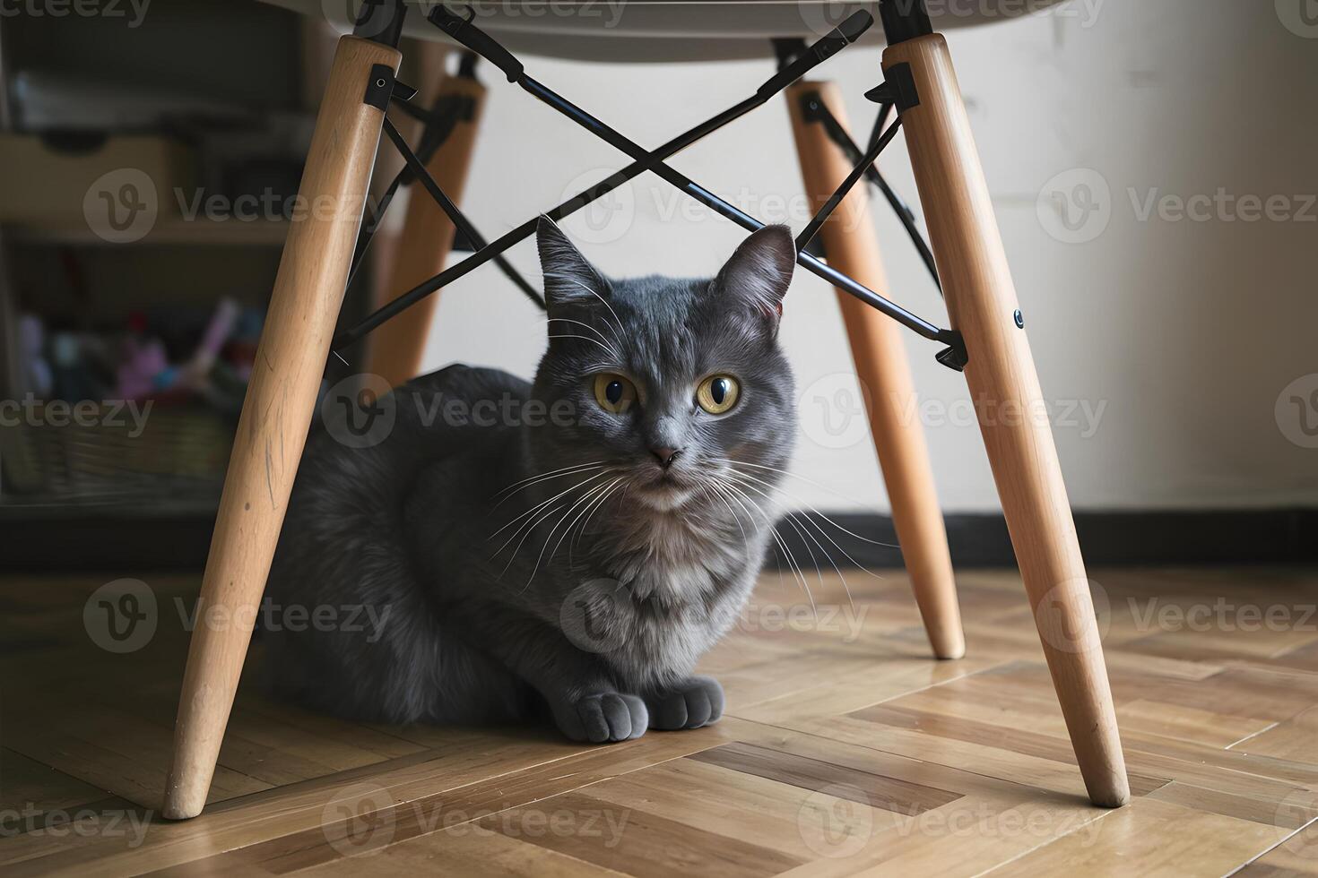 ai generiert Szene grau Katze mit Gelb Augen sitzt unter Stuhl auf Parkett foto