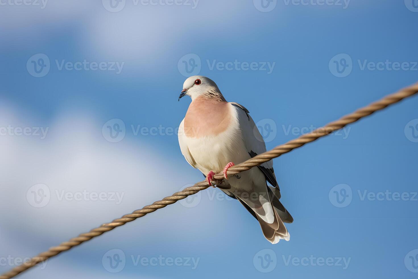 ai generiert Taube thront zart auf Draht gegen geräumig Himmel Hintergrund foto