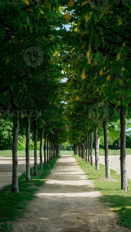 ai generiert Gasse gefüttert mit jung Bäume bietet an heiter Sommer- Park Flucht Vertikale Handy, Mobiltelefon Hintergrund foto