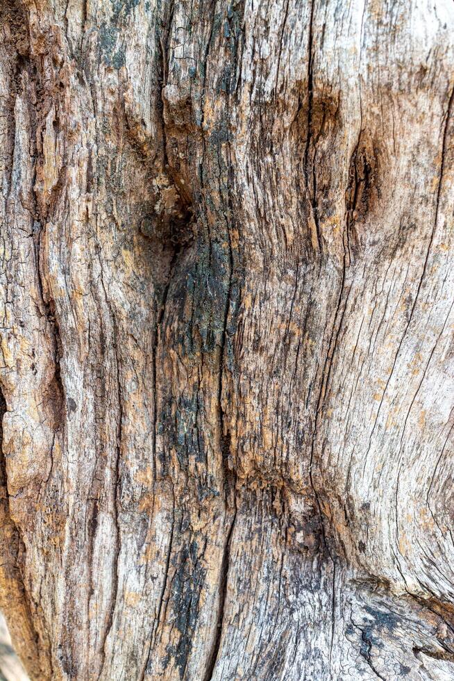 alt Holz Textur Hintergrund. Nahansicht von alt Holz Textur Hintergrund. foto