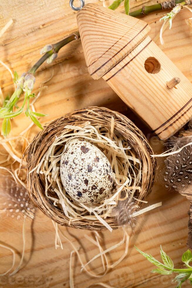 Nest, Wachtel Ei, dekorativ Vogelhaus, Zweige mit Frühling Blätter auf Holz. organisch Ostern. oben Sicht. foto