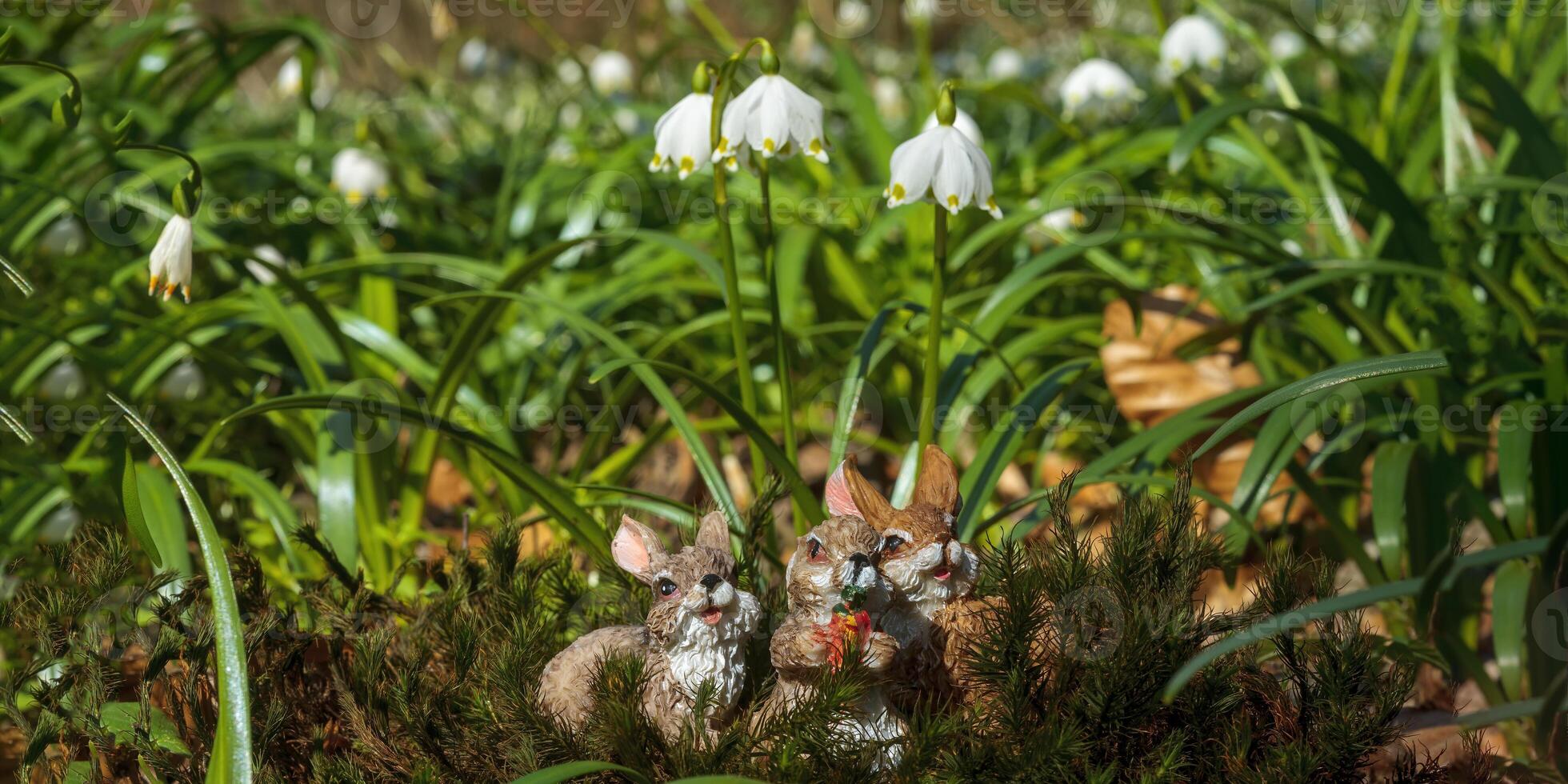 ein Sanft Blume blühen im ein Natur Garten foto