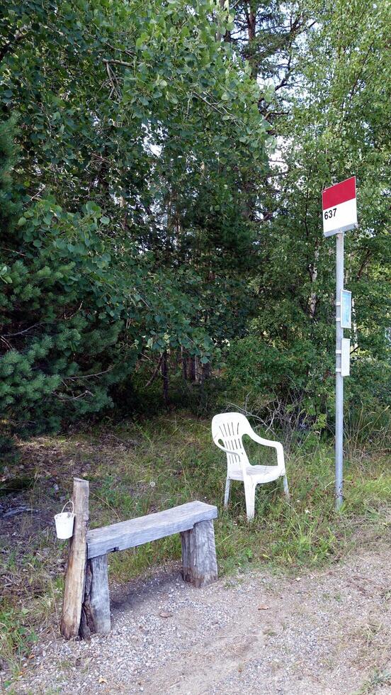 ein Bus halt im das Landschaft im Skandinavien foto