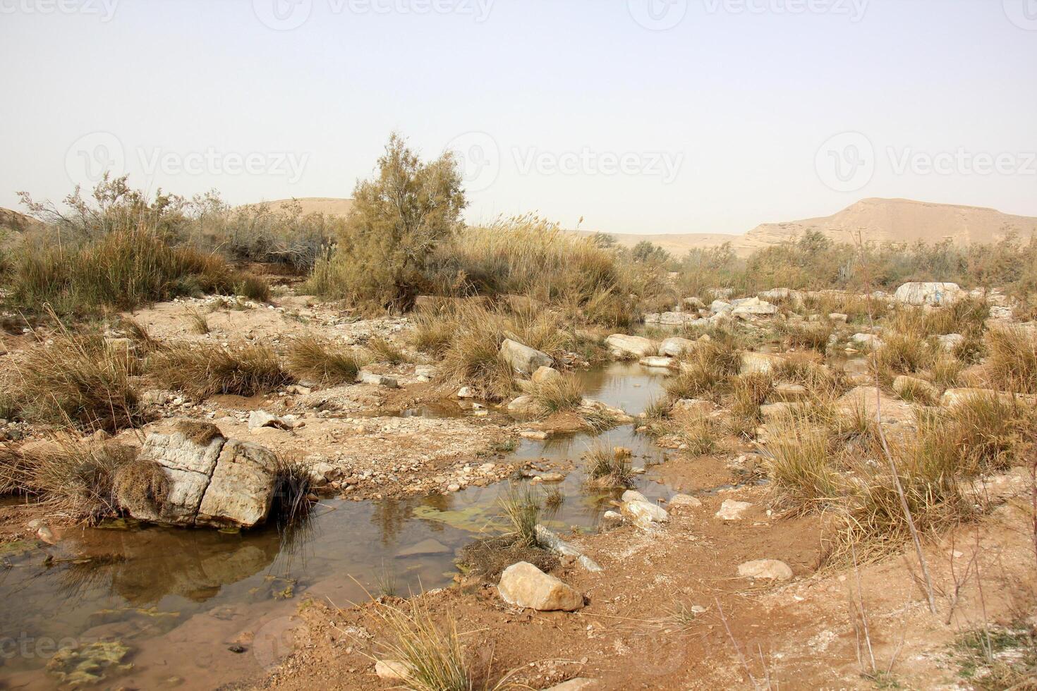 das negev ist ein Wüste im das Mitte Ost, gelegen im Israel und besetzend Über 60 von es ist Gebiet. foto