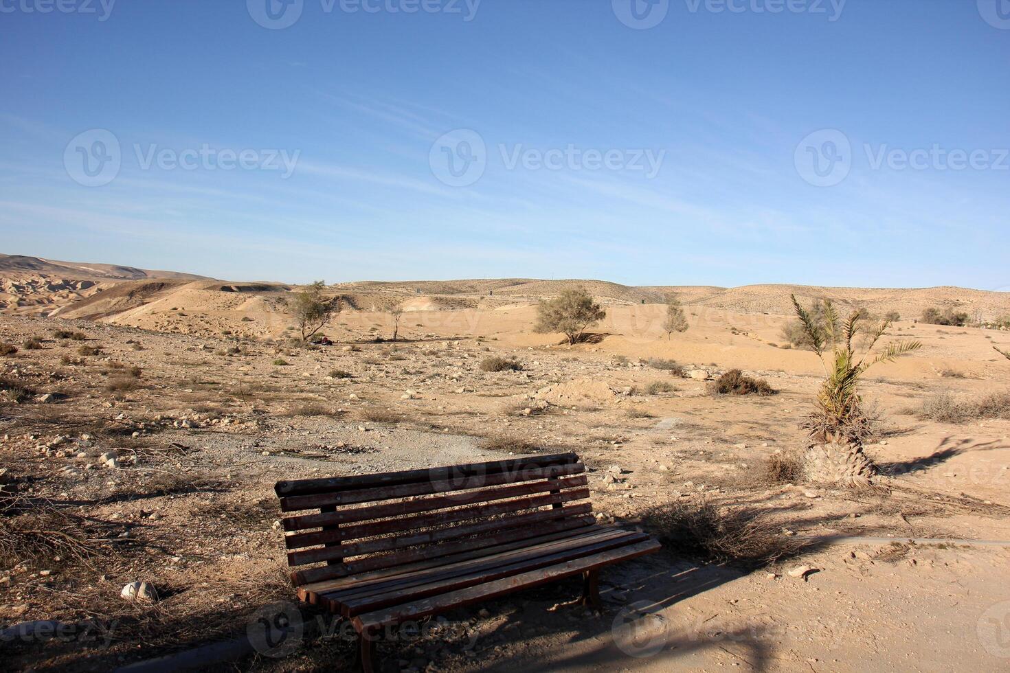 das negev ist ein Wüste im das Mitte Ost, gelegen im Israel und besetzend Über 60 von es ist Gebiet. foto