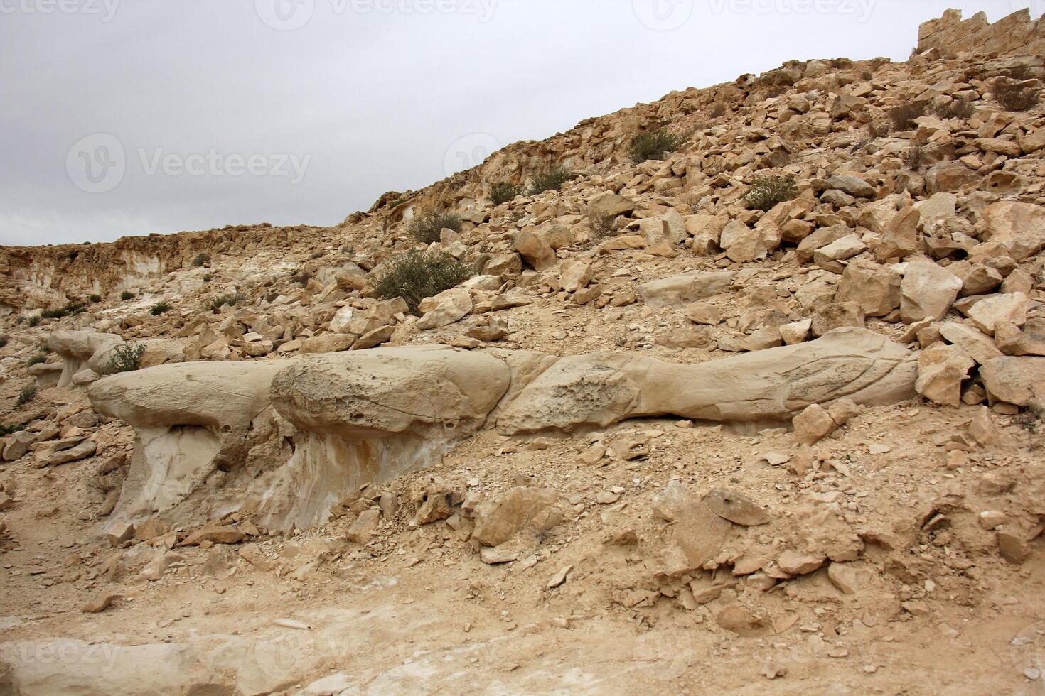 das negev ist ein Wüste im das Mitte Ost, gelegen im Israel und besetzend Über 60 von es ist Gebiet. foto