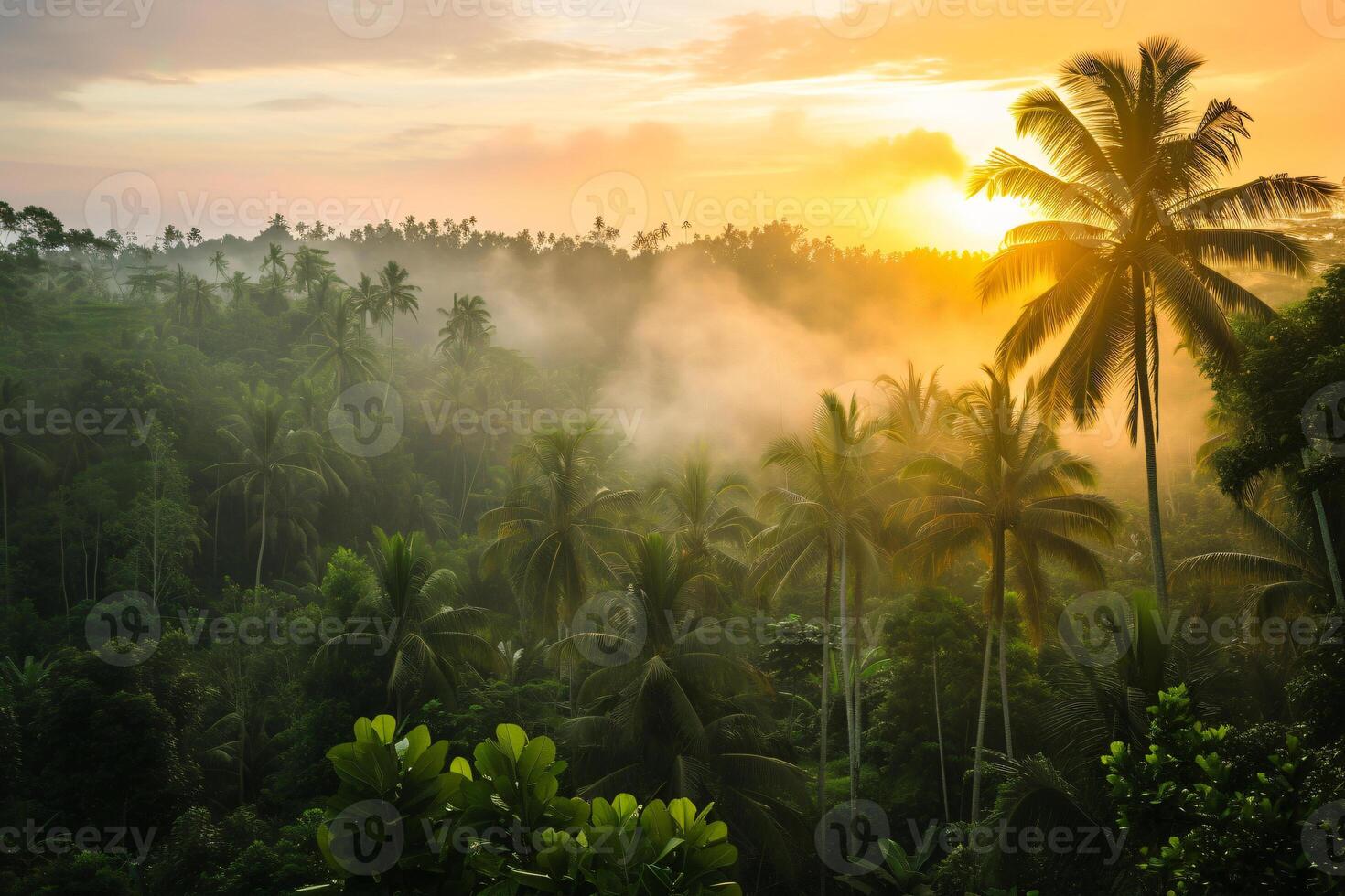 Foto Sonnenaufgang Über bali Urwald