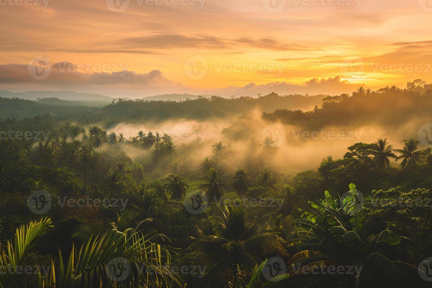 Foto Sonnenaufgang Über bali Urwald