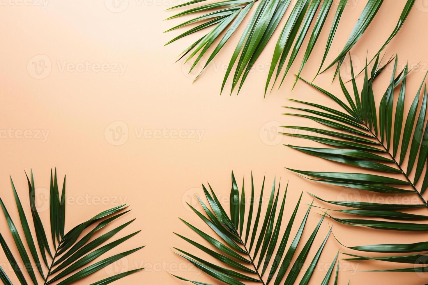 Foto frisch Palme Blätter auf Beige Hintergrund