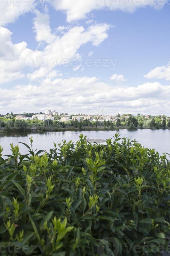 schön Sommer- Aussicht im das Park. foto