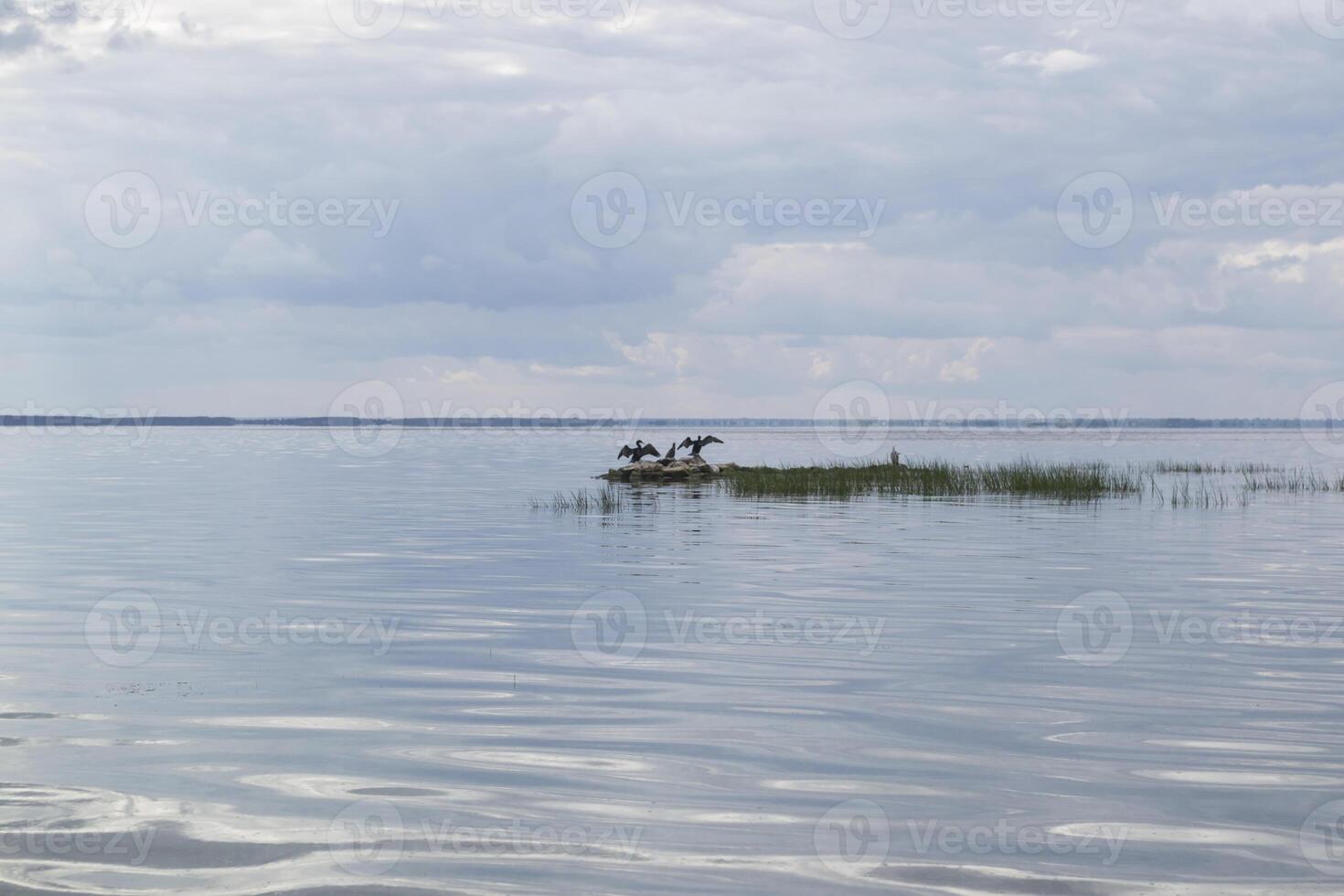 das Insel im das Meer und Silhouetten von Vögel. Sommer- Meereslandschaft. foto