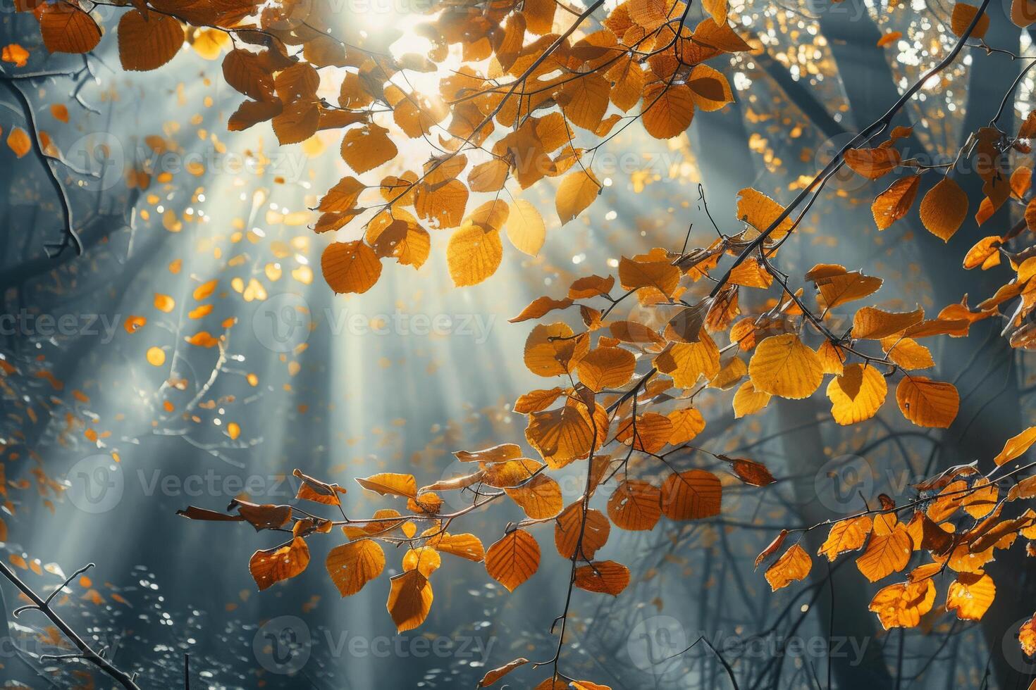 Sonnenlicht Filtern durch Baum Blätter foto