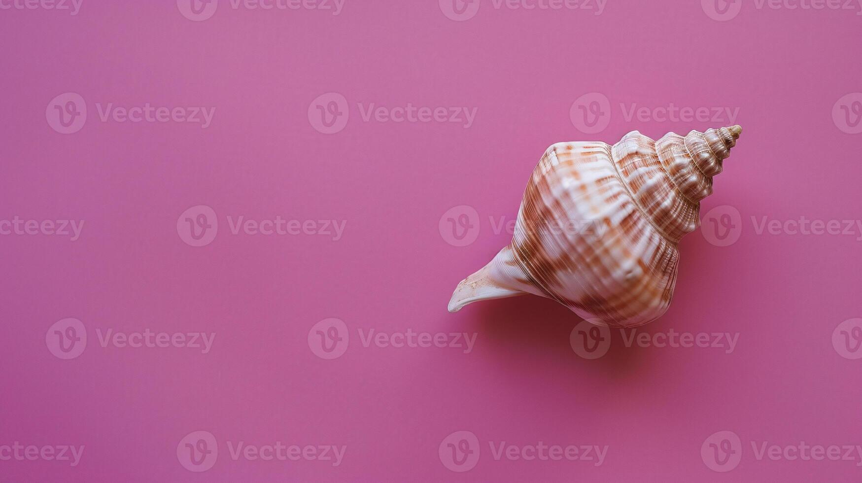 ein Single Muschel, zart platziert gegen ein farbig Hintergrund, erfasst das Wesen von das Ozean foto