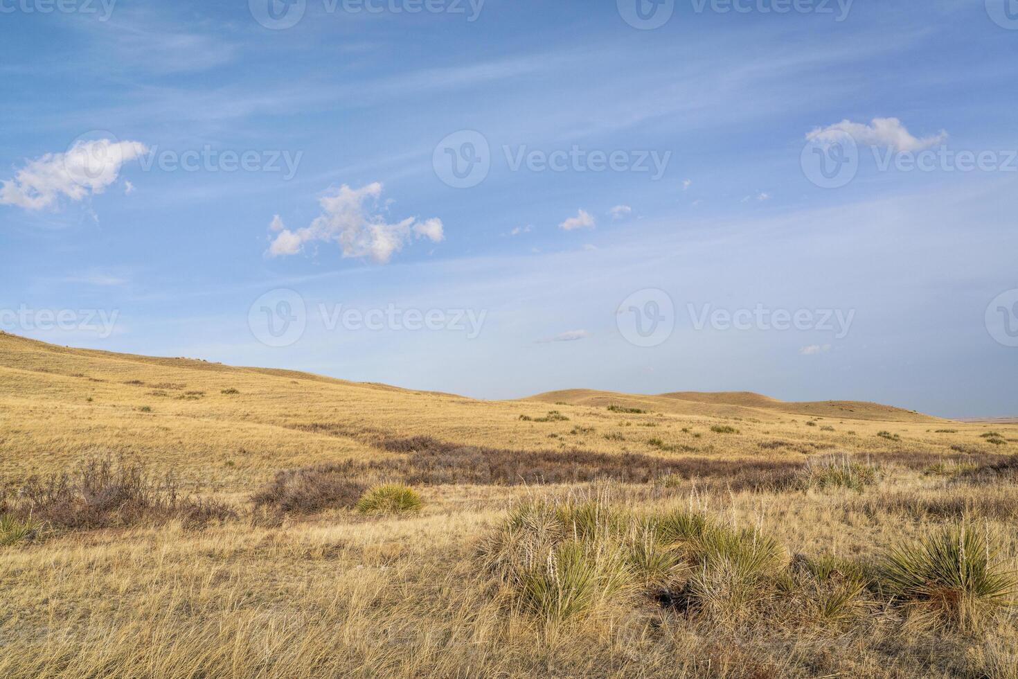 Kumulus und Cirrus Wolken Über Prärie foto