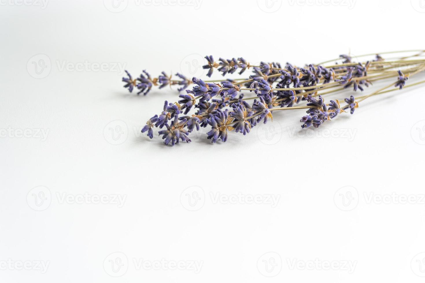 schöner Strauß getrockneter Lavendelblüten foto