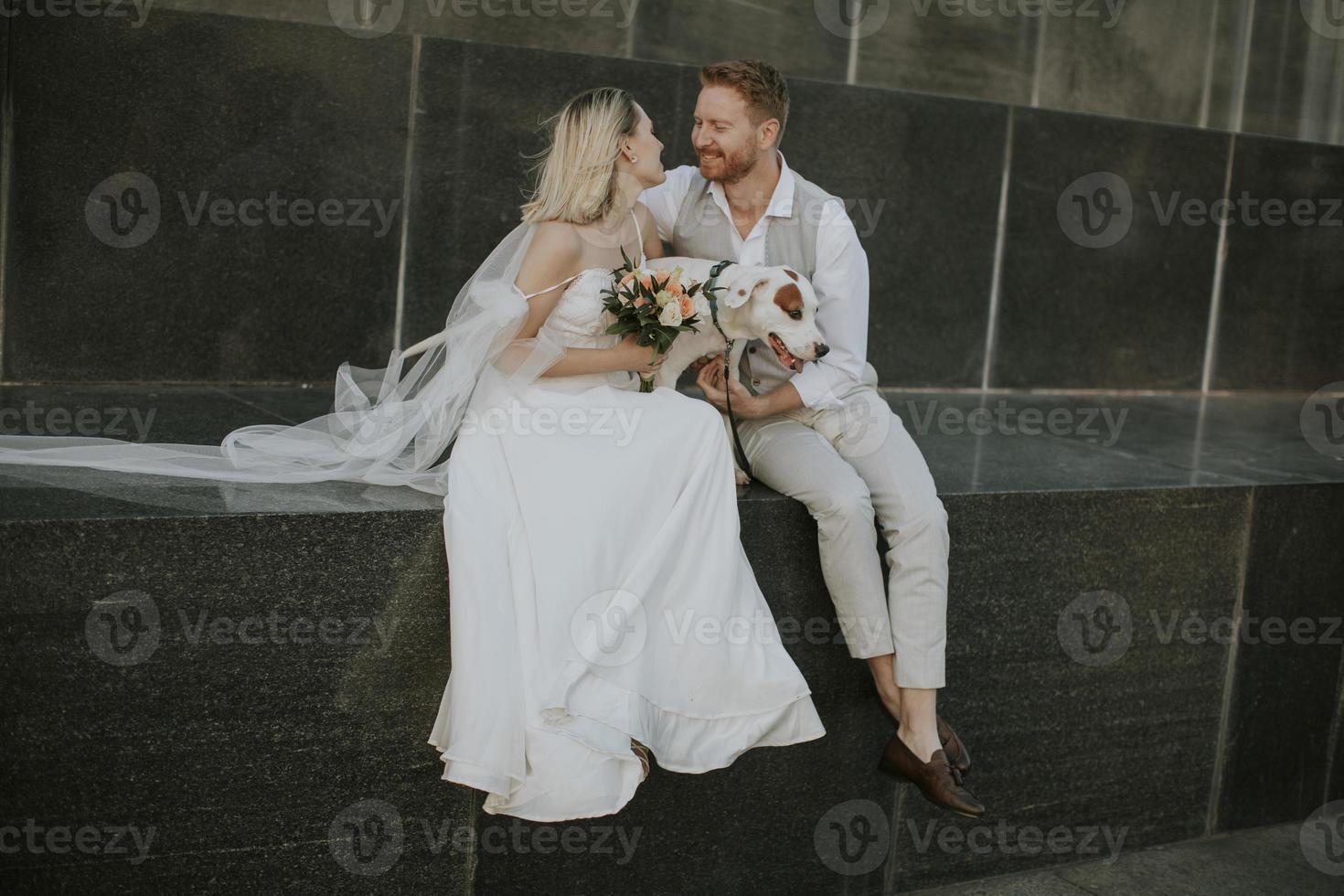 junges Brautpaar mit ihrem Jack-Russel-Terrier-Hund foto