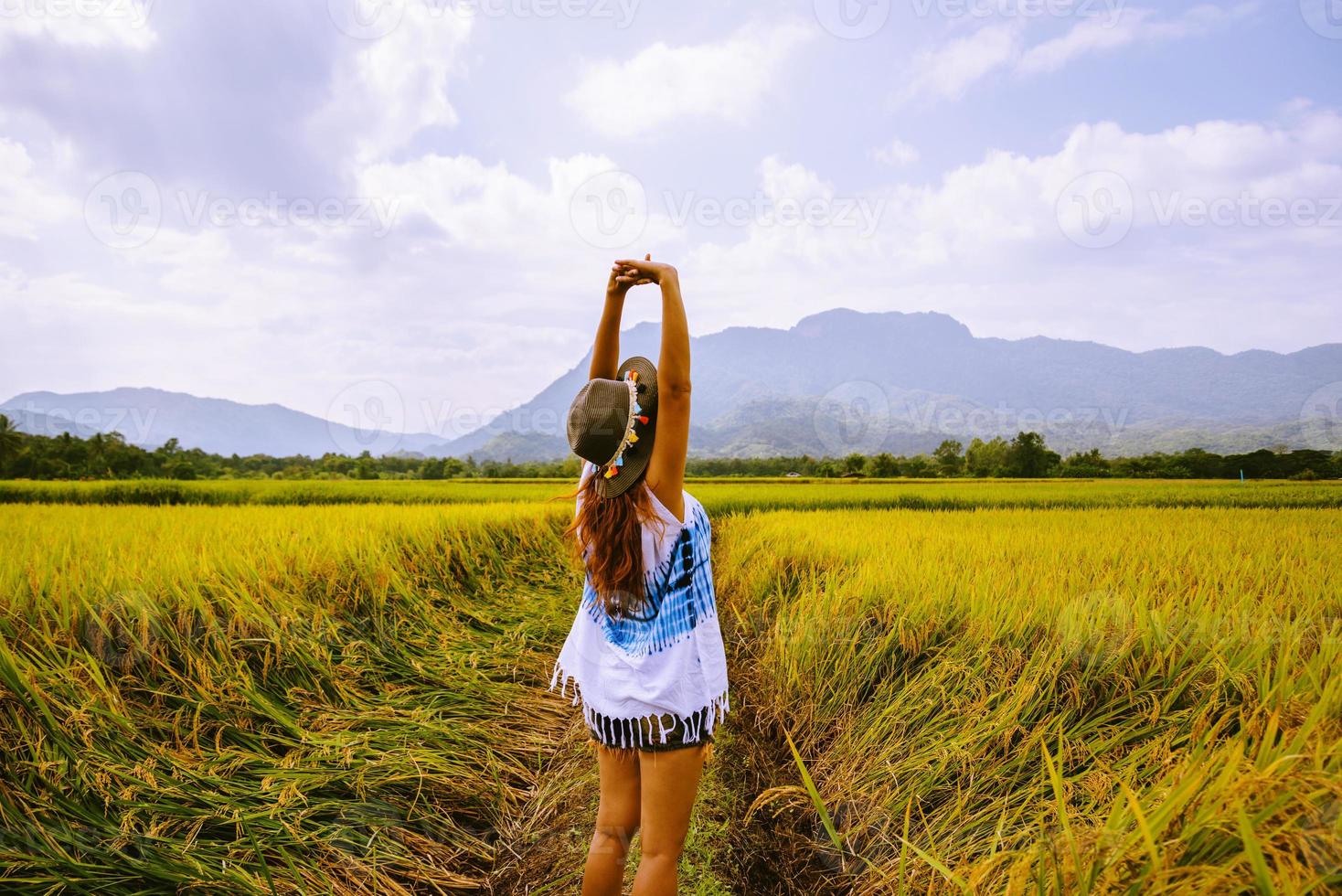 asiatische frauen reisen im urlaub goldgelbe reisfelder in den bergen. glücklich und genießen eine schöne Natur. Reisen in Länder, grüne Reisfelder, Reisen durch Thailand. foto