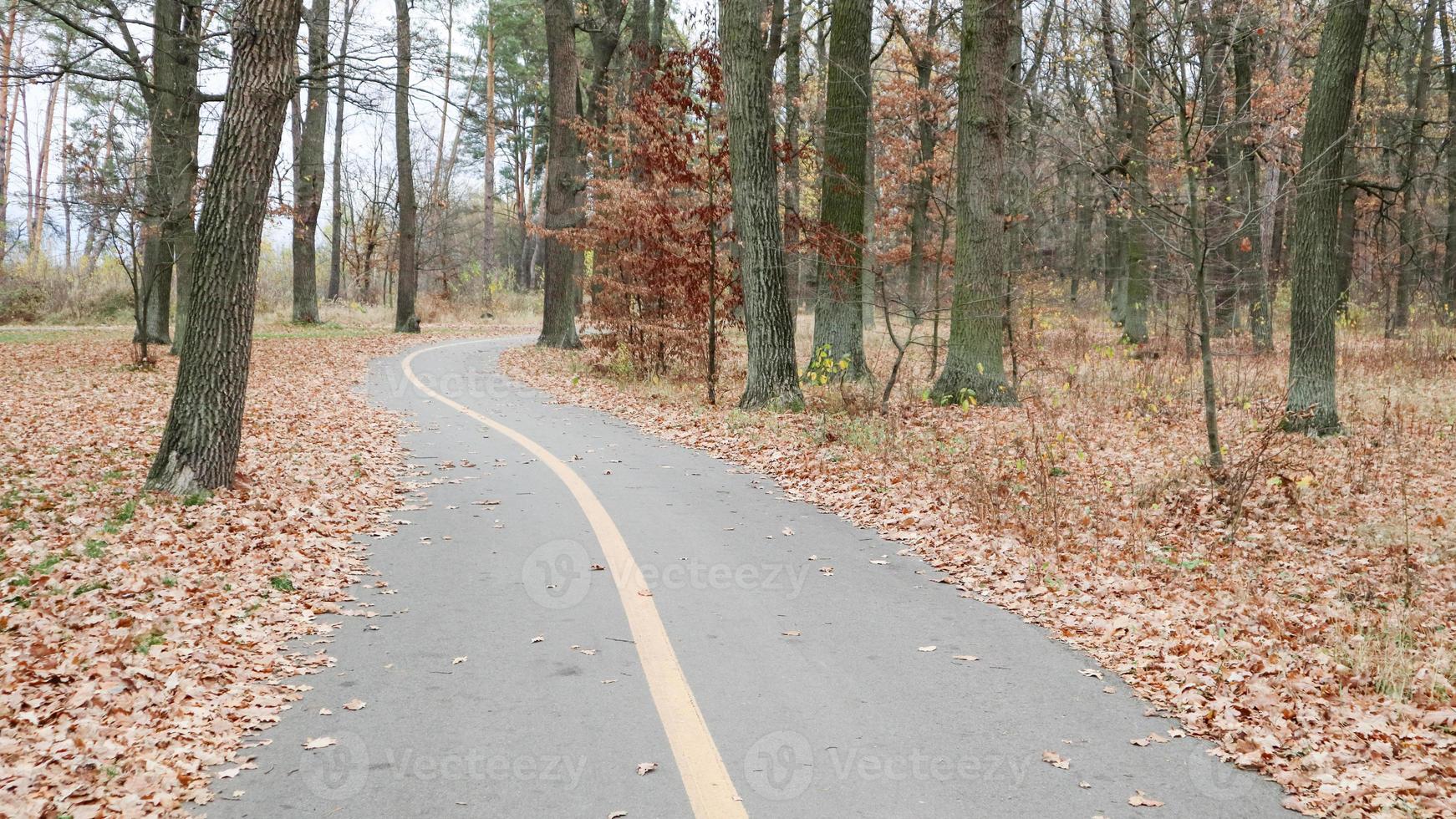 Gehweg im Park mit einer gelben Markierungslinie auf dem Asphalt. im Hintergrund sind Bäume und Büsche bereits in gelben und orangefarbenen Blättern. warmes Wetter, sonniger Tag. Herbst leerer Park ohne Leute foto