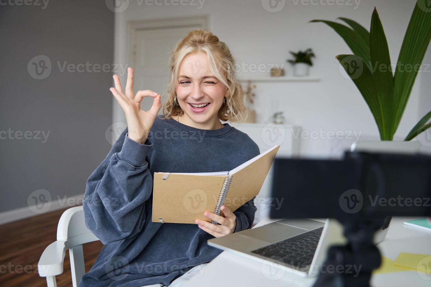 Porträt von süß blond Mädchen mit Notizbuch im Hände, zeigt an okay Zeichen, Aufzeichnungen , Sozial Medien Inhalt, Bloggen von ihr Zimmer foto