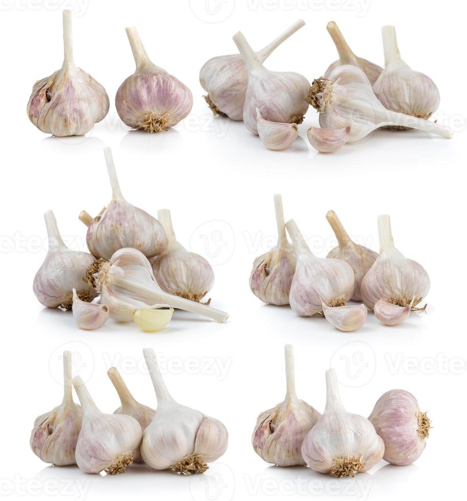 Knoblauch auf weißem Hintergrund foto