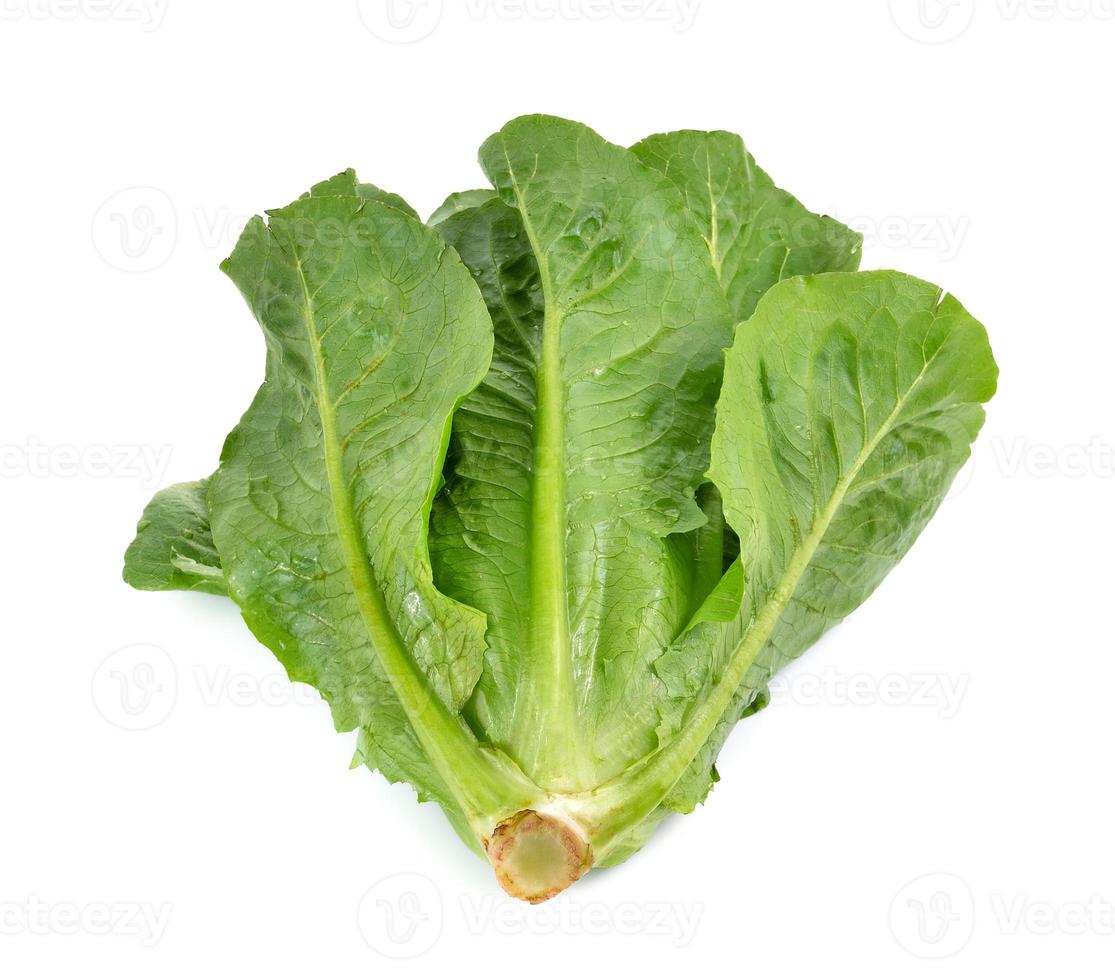 cos Salat auf weißem Hintergrund foto