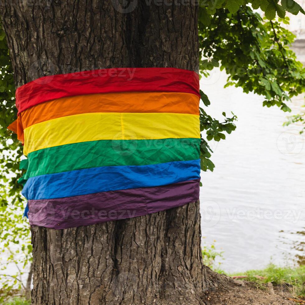 Stolz lgbtq Regenbogen Flagge eingewickelt um Baum im ein friedlich Park foto