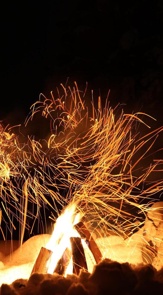 Feuer Flamme im das dunkel Wald foto