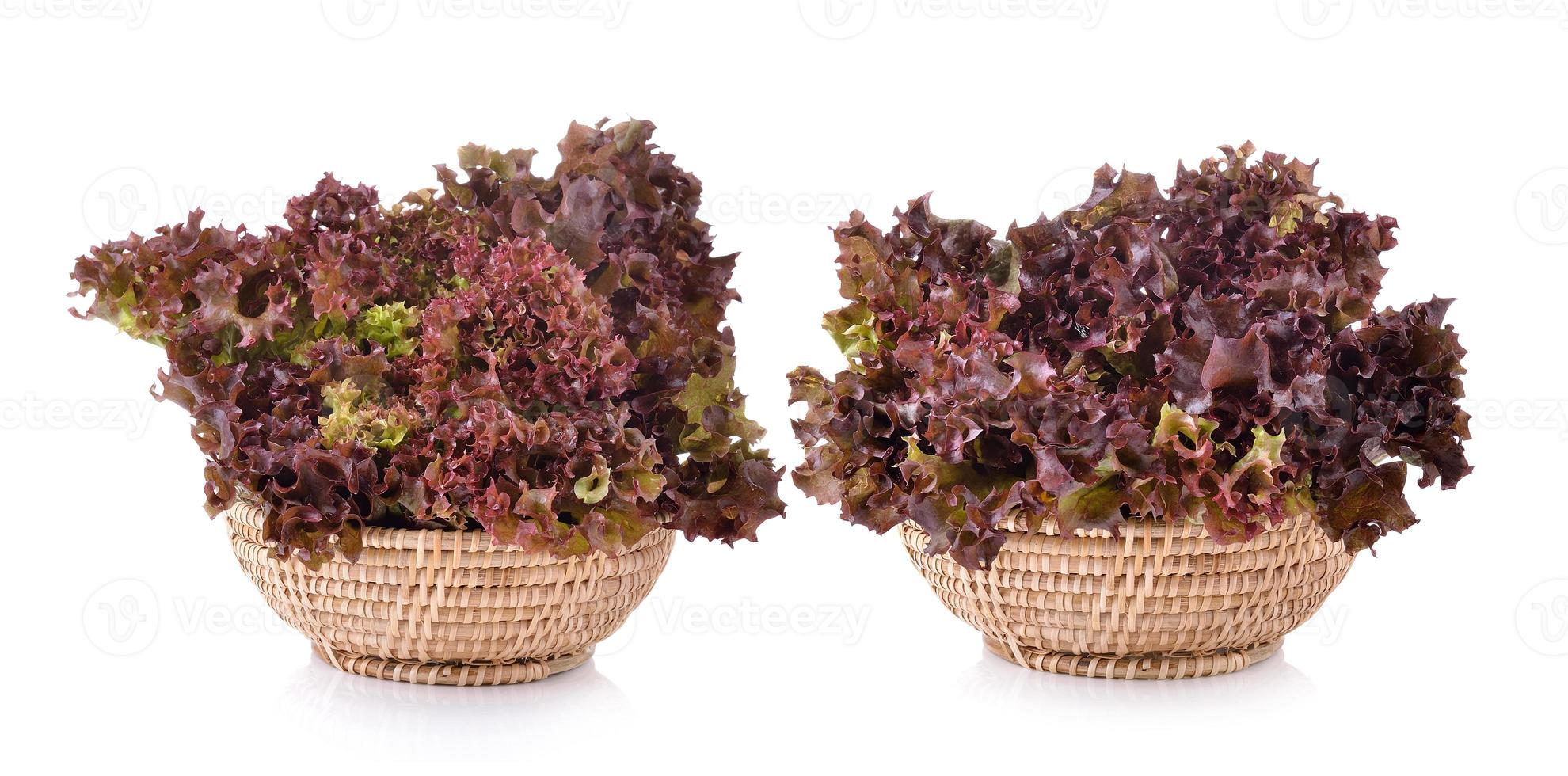 frischer roter Salat im Korb auf weißem Hintergrund foto