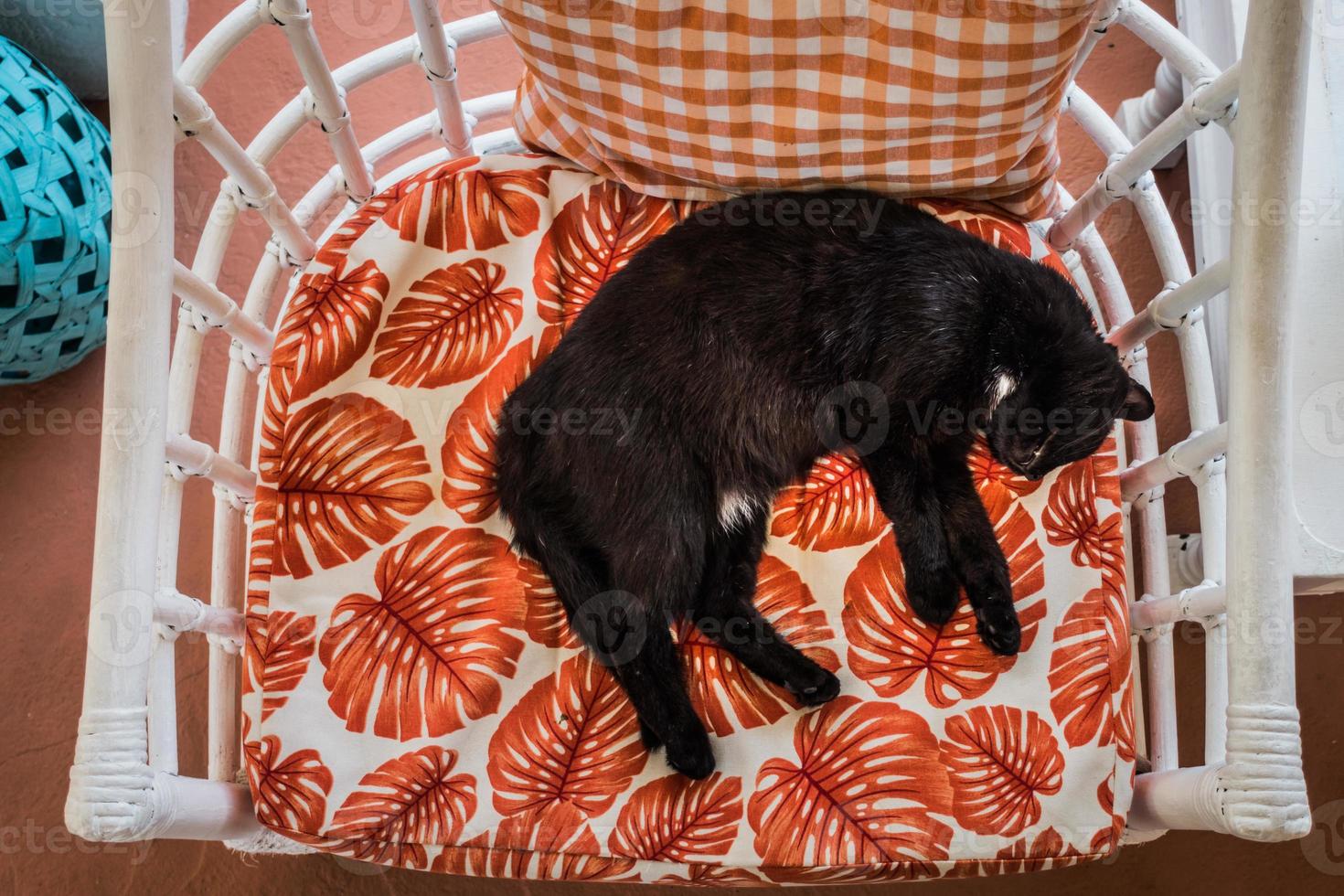 junge schwarze Katze, die an einem heißen Sommertag auf einem Stuhl schläft foto