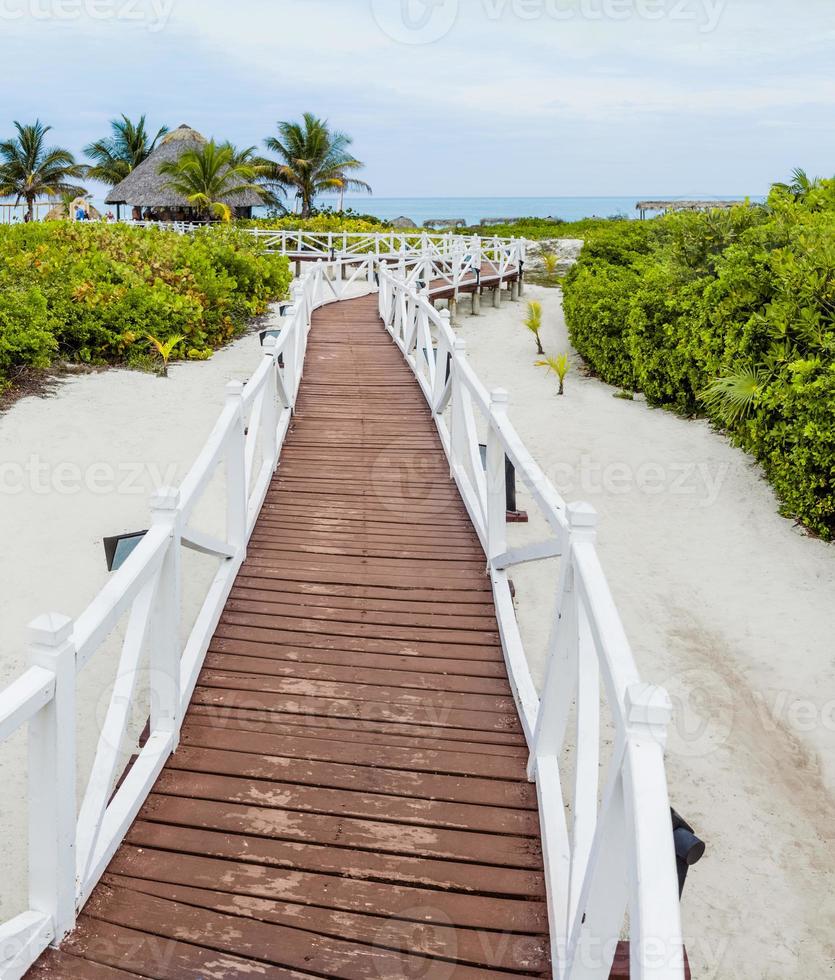 romantischer Gehweg zum Strand foto