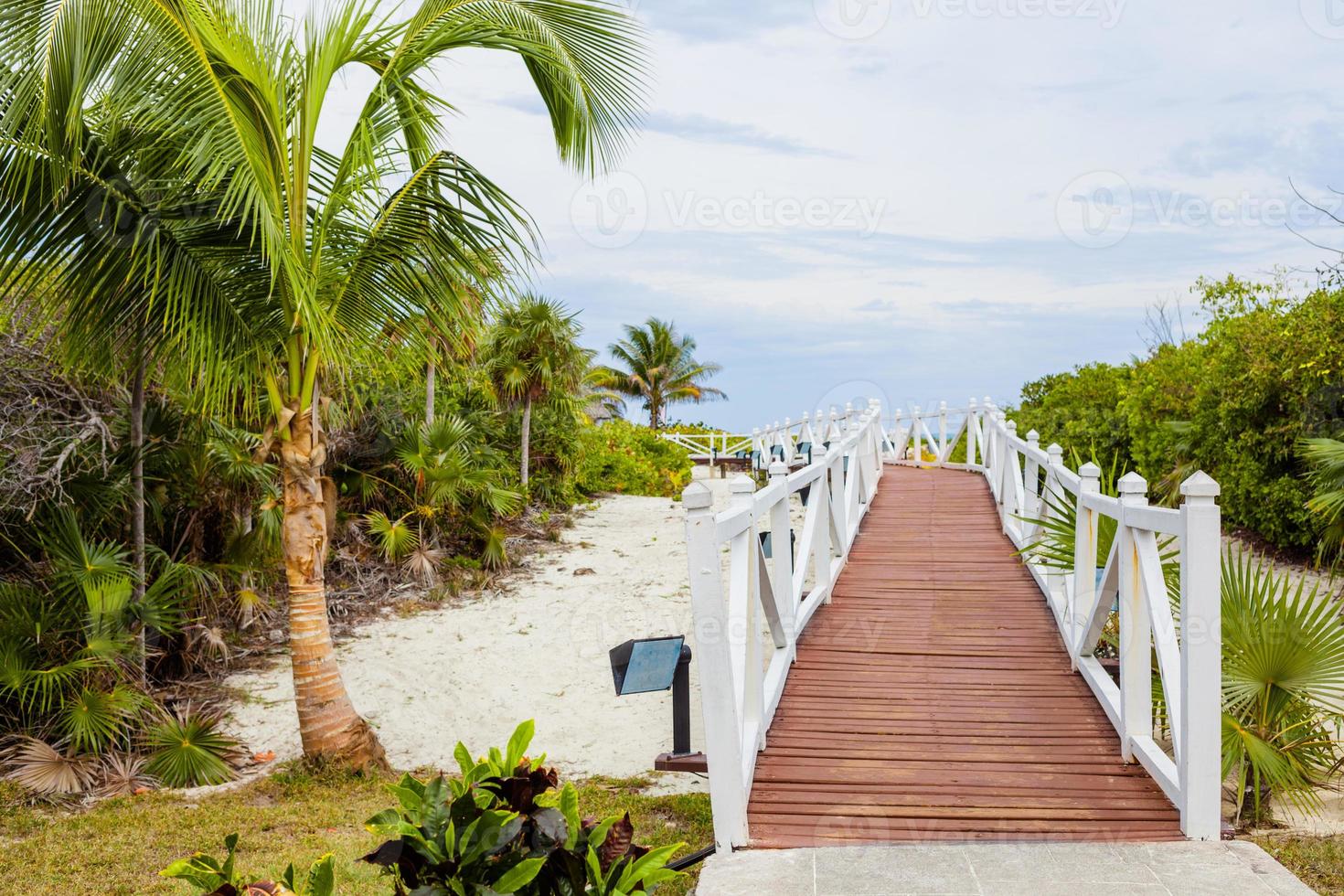 romantischer Gehweg zum Strand foto