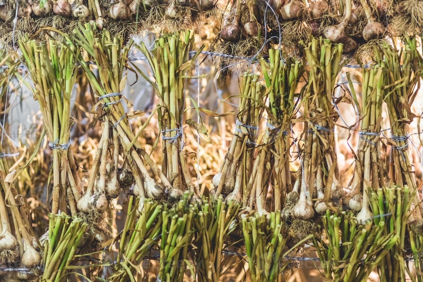 viel getrockneter Knoblauch drinnen foto