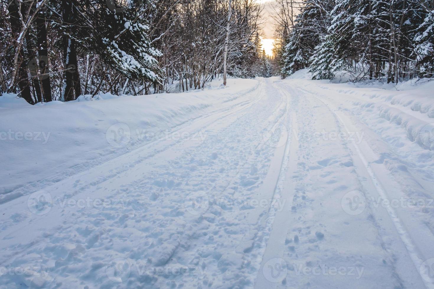 Schneemobilweg in der wilden Natur foto