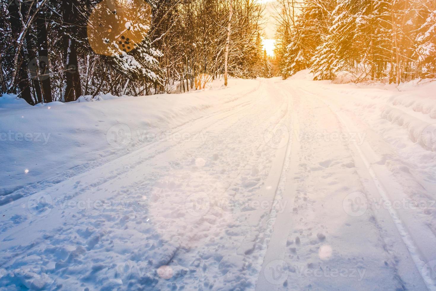 Schneemobilweg in der wilden Natur foto