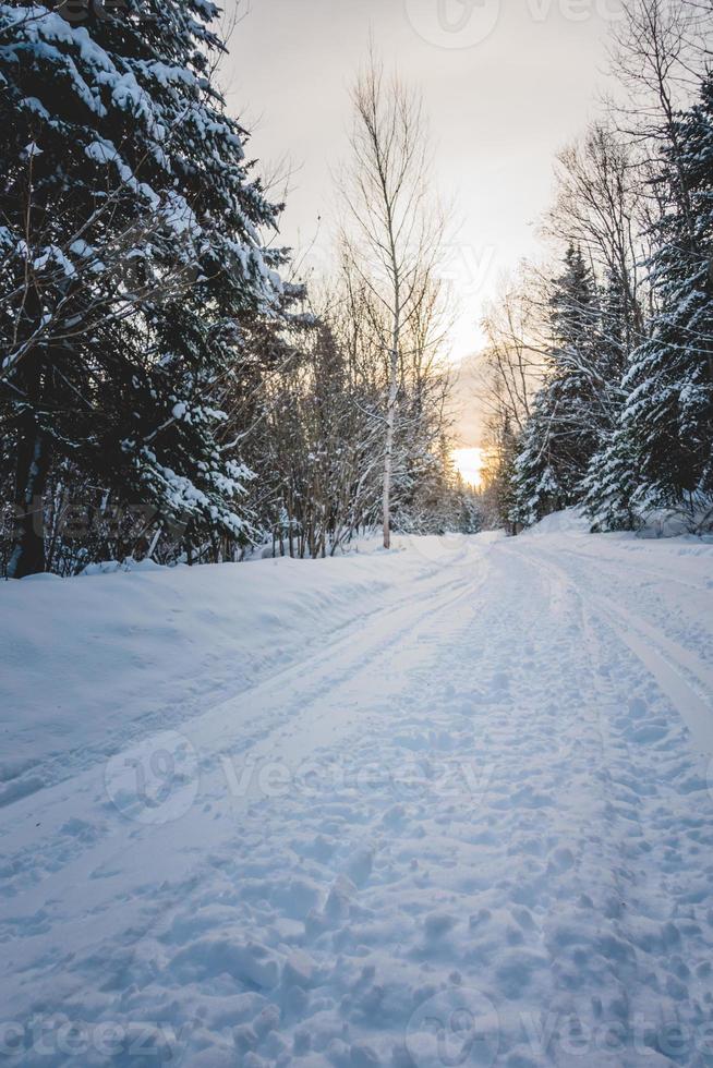 Schneemobilweg in der wilden Natur foto