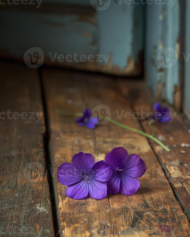 winzig lila Fußboden Blumen Nahansicht foto