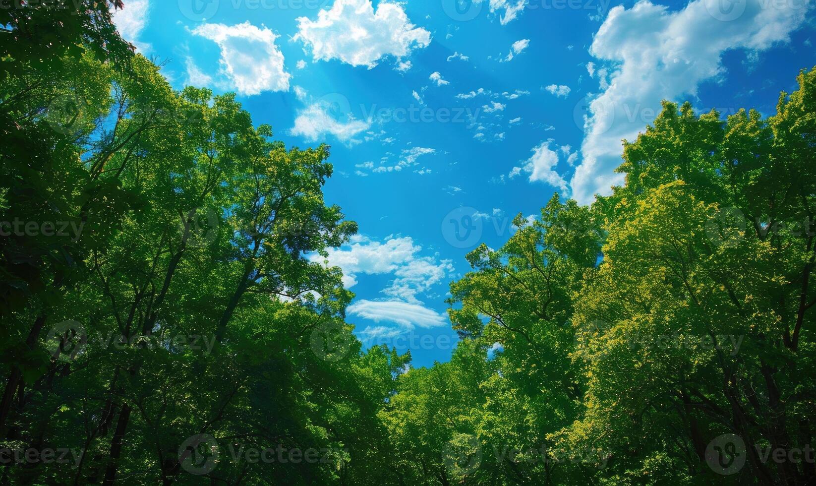 Blau Himmel Über ein Grün Wald, Frühling Natur Hintergrund foto