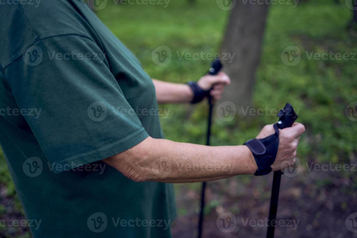 Alten Frau ist beschäftigt, verlobt im nordisch Gehen mit Stöcke im das Frühling Wald foto