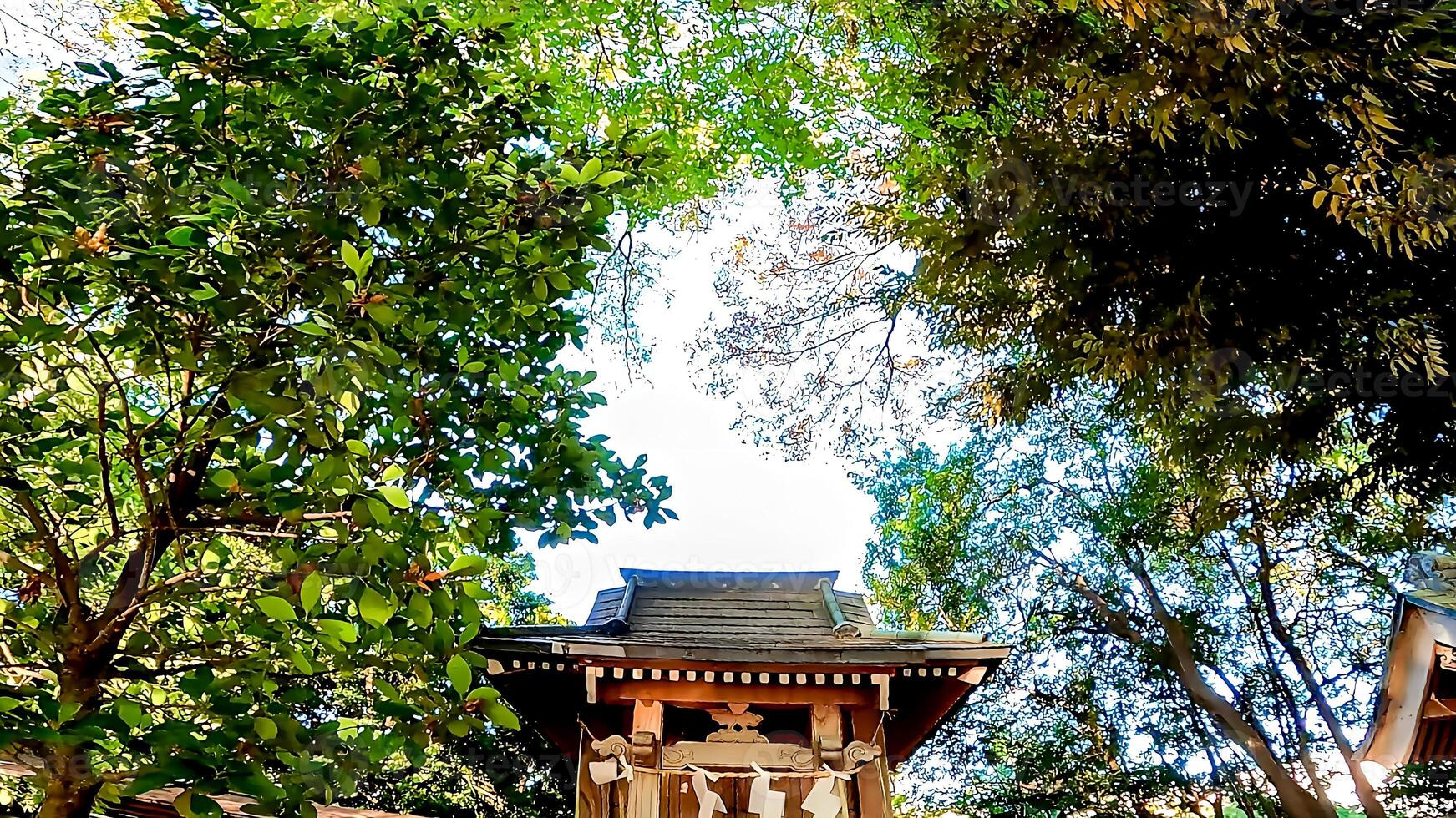 Hiatsuka Schrein, ein Schrein im Kaminakazato, Kita-Ku, Tokio, Japan. es hat gewesen Verankerung hachiman Taro Abonnieren Nein yoshiie, ein Held von das spät heian Zeitraum, und seine zwei jünger Brüder seit 1118. foto