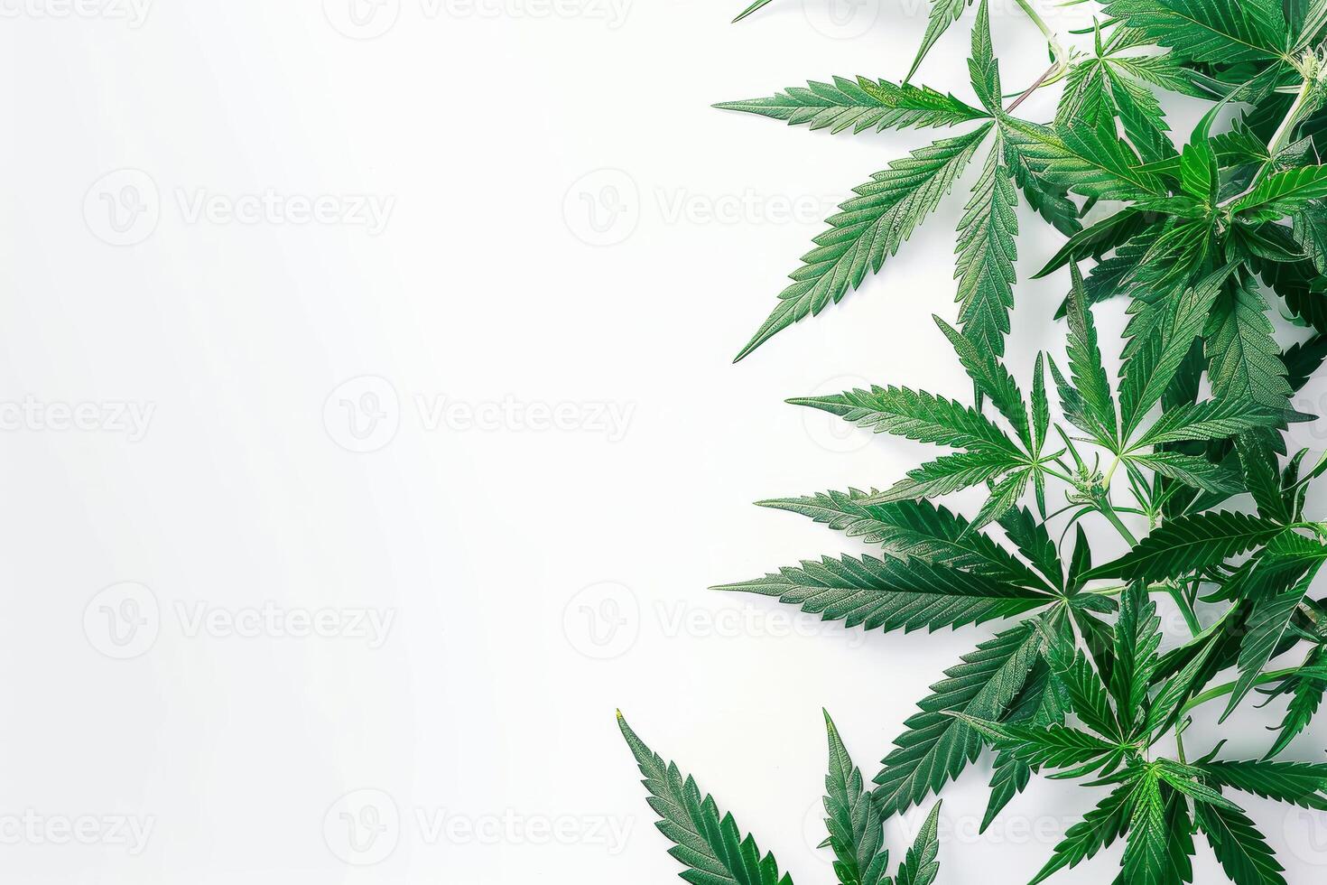 ai generiert Cannabis Blatt, Marihuana isoliert auf Weiß Hintergrund, oben Aussicht Kopieren Raum zum Text foto